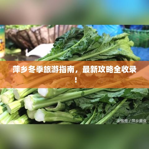 萍乡冬季旅游指南，最新攻略全收录！